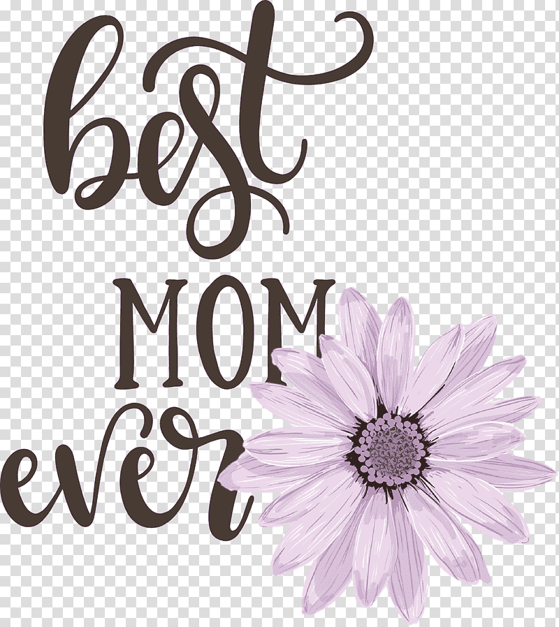 Mothers Day best mom ever Mothers Day Quote, Flower, Purple, Rose, Floral Design, Violet, Common Daisy transparent background PNG clipart