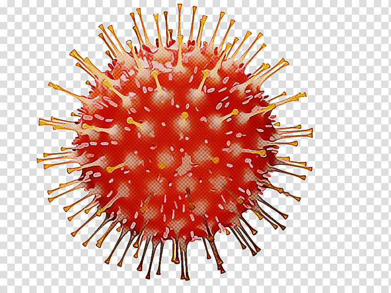virus coronavirus coronavirus disease 2019 infection severe acute respiratory syndrome coronavirus 2, Covid19 Vaccine, Rna Virus, Incubation Period, Viral Hemorrhagic Fever, Sore Throat transparent background PNG clipart
