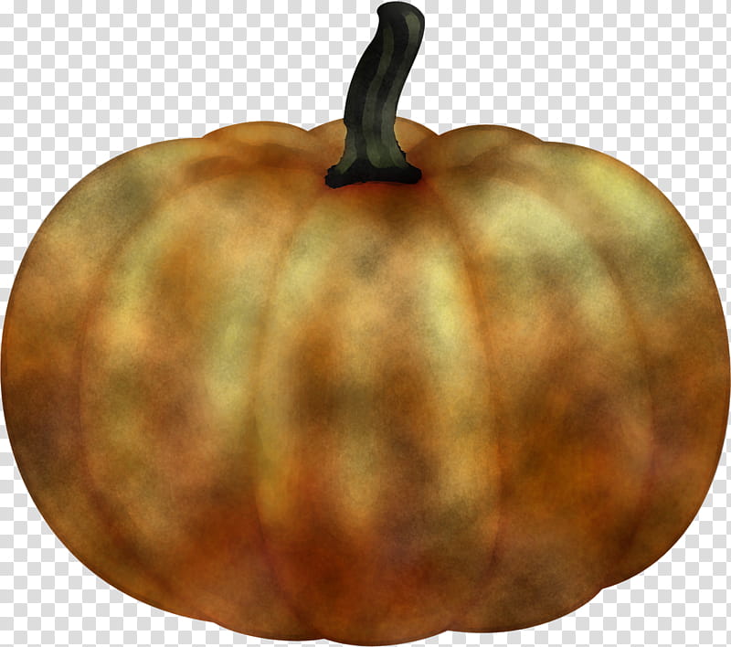 Pumpkin, Calabaza, Winter Squash, Orange, Cucurbita, Plant, Vegetable, Fruit transparent background PNG clipart