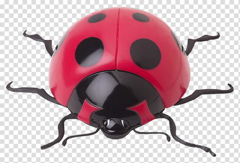 Ladybug, Insect, Beetle, Leaf Beetle transparent background PNG clipart