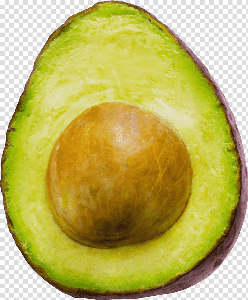 Avocado, Watercolor, Paint, Wet Ink, Superfood, Closeup, Fruit transparent background PNG clipart