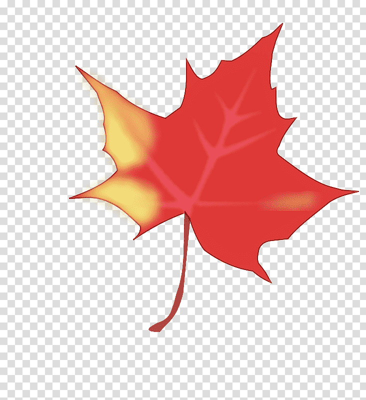 leaf tree maple leaf / m symmetry flower, Maple Leaf M, Plant, Plant Structure, Geometry, Biology, Mathematics transparent background PNG clipart