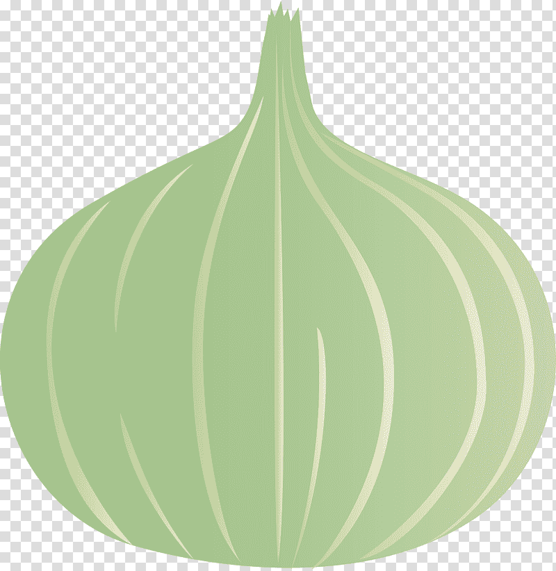 onion, Leaf, Christmas Ornament M, Green, Christmas Day, Science, Plant Structure transparent background PNG clipart