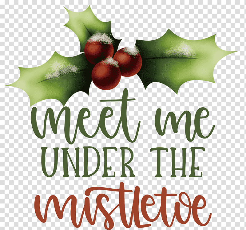 Meet Me Under The Mistletoe Mistletoe, Holly, Natural Food, Superfood, Local Food, Leaf, Text transparent background PNG clipart