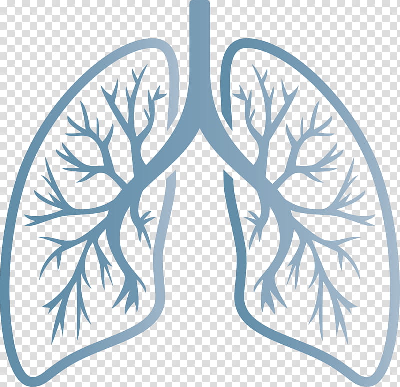 lungs COVID Corona Virus Disease, Leaf, Tree, Ornament, Branch, Plant, Symmetry transparent background PNG clipart
