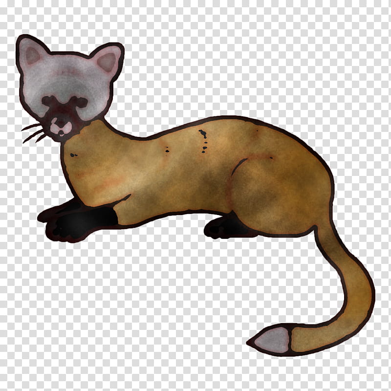 whiskers cat mustelids puma, Dog, Tail, Biology transparent background PNG clipart