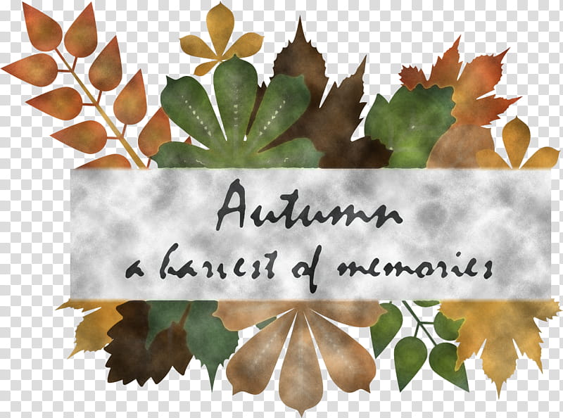 Hello Autumn Happy Fall Autumn, Autumn Background, Leaf, Law, Tree, Meter, Biology, Science transparent background PNG clipart