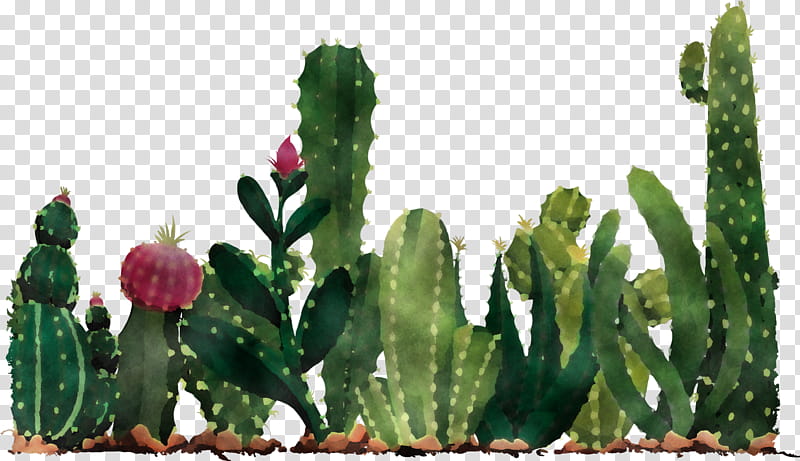 Mexico elements, Cactus, Cartoon, Drawing, Strawberry, Juice, Painting, Silhouette transparent background PNG clipart
