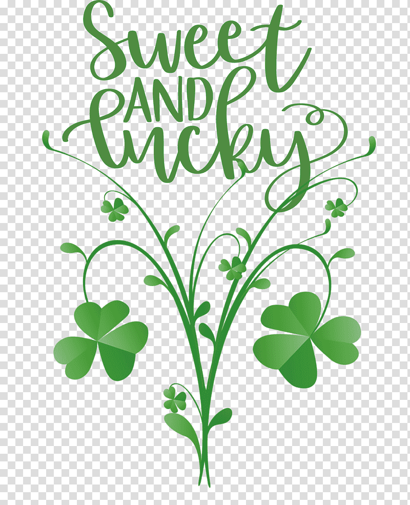 Sweet And Lucky St Patricks Day, Plant Stem, Leaf, Tree, Flower, Green, Herbal Medicine transparent background PNG clipart