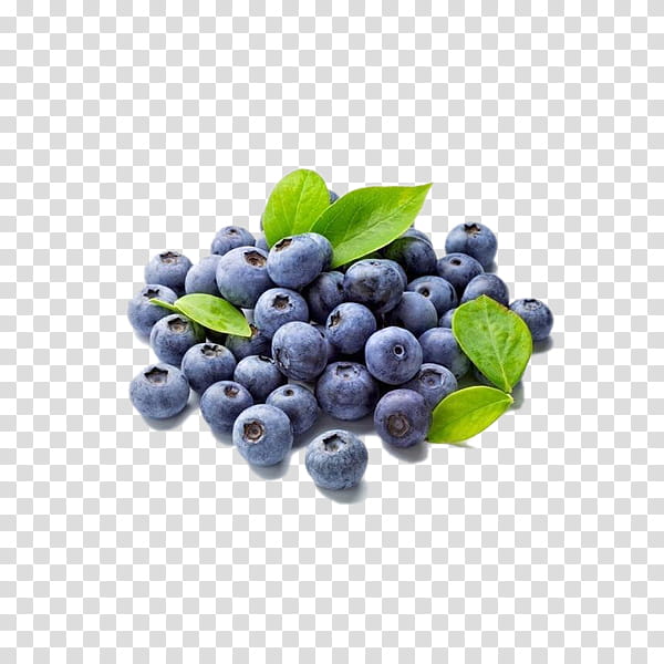 berry bilberry fruit food blueberry, Superfood, Natural Foods, Plant, Huckleberry, Prunus Spinosa, Superfruit, Chokeberry transparent background PNG clipart