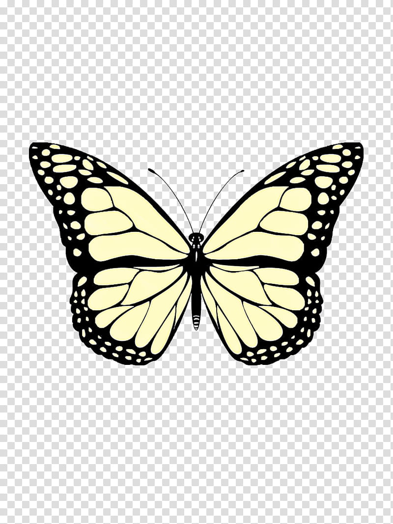 Monarch butterfly, Butterflies, Sticker, Insect, Butterfly Sticker, Wall Decal, Butterfly Stickers, Yellow transparent background PNG clipart