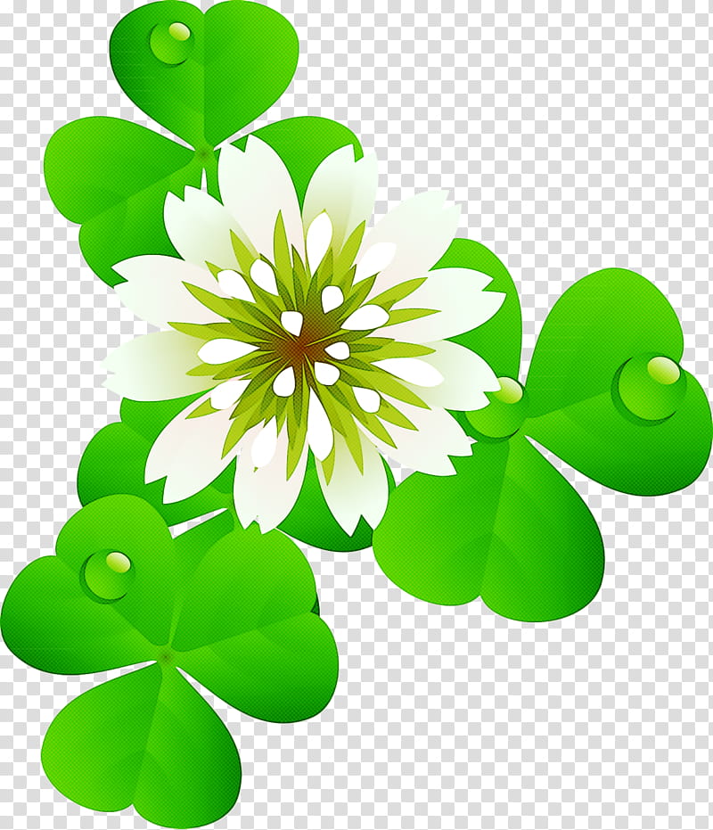 Saint Patrick Saint Patrick's Day Paddy's Day, World Thinking Day, International Womens Day, World Water Day, World Down Syndrome Day, Earth Hour, Red Nose Day, World Tb Day transparent background PNG clipart