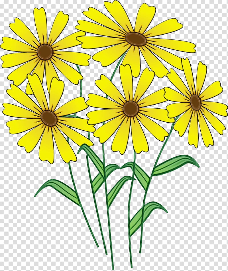 flower yellow plant petal wildflower, Watercolor, Paint, Wet Ink, Chamomile, Plant Stem, Cut Flowers, Daisy Family transparent background PNG clipart