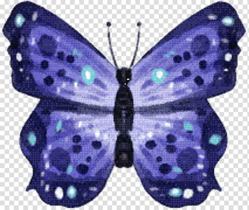 Brush-footed butterflies Gossamer-winged butterflies Moth Purple Symmetry, Brushfooted Butterflies, Gossamerwinged Butterflies, Moths And Butterflies, Butterfly, Cynthia Subgenus, Insect transparent background PNG clipart