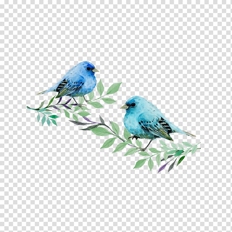 Feather, Watercolor, Paint, Wet Ink, Bird, Mountain Bluebird, Indigo Bunting, Turquoise transparent background PNG clipart