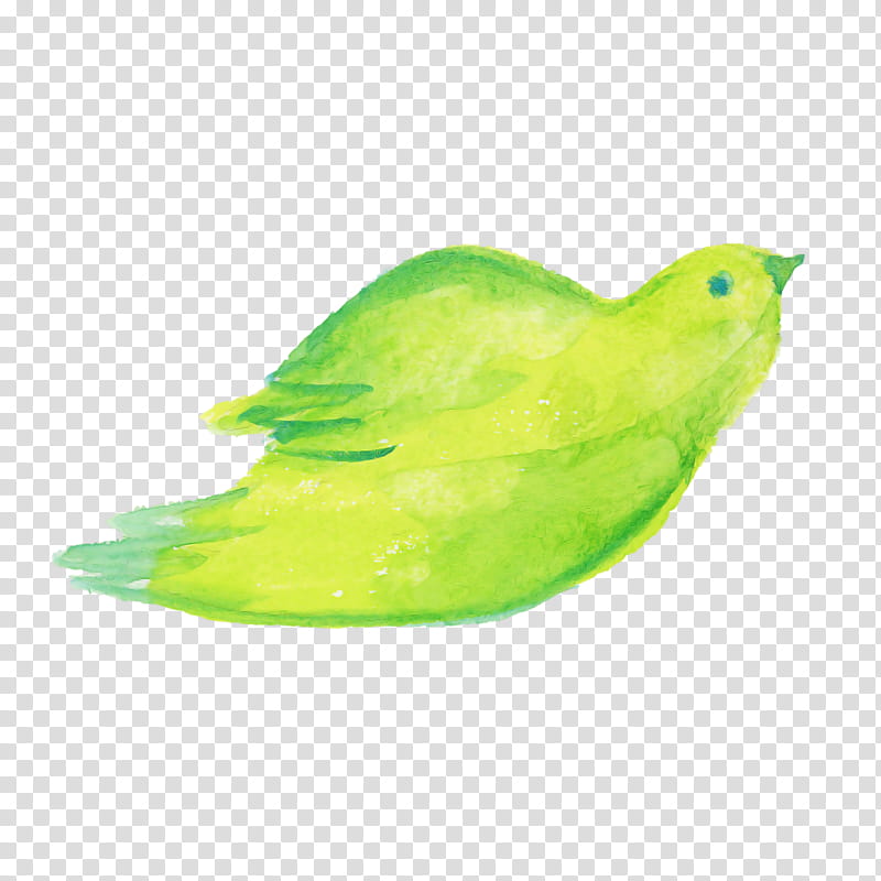 Feather, Watercolor Bird, Green, Parrot, Parakeet, Beak, Lovebird, Budgie transparent background PNG clipart