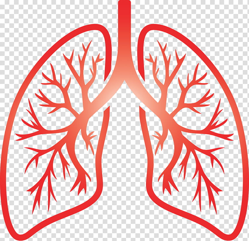 lungs COVID Corona Virus Disease, Red, Leaf, Ornament transparent background PNG clipart
