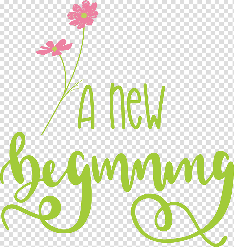 A New Beginning, Floral Design, Leaf, Plant Stem, Petal, Cut Flowers, Meter transparent background PNG clipart