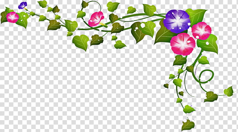 Morning Glory Summer Flower, Floral Design, Plant Stem, Common Morningglory, Blue Dawn Flower, Plants transparent background PNG clipart