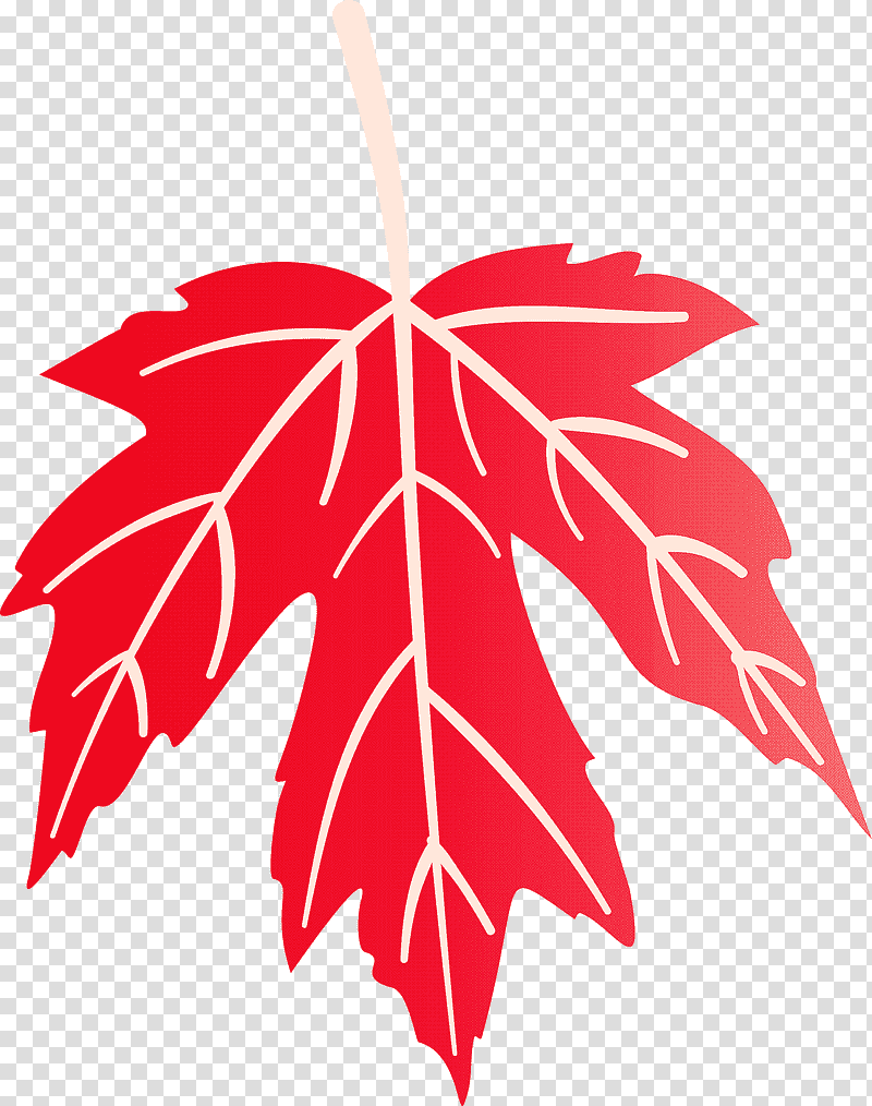 Autumn Leaf Colourful Foliage Colorful Leaves, COLORFUL LEAF, Autumn Leaf Color, Tree, Plant Stem, Red Maple, Symmetry transparent background PNG clipart