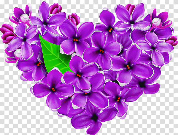 Lavender, purple flower with green leaves, Lilac, Common Lilac, Ornamental Plant, Violet, Perennial Plant, Cut Flowers transparent background PNG clipart