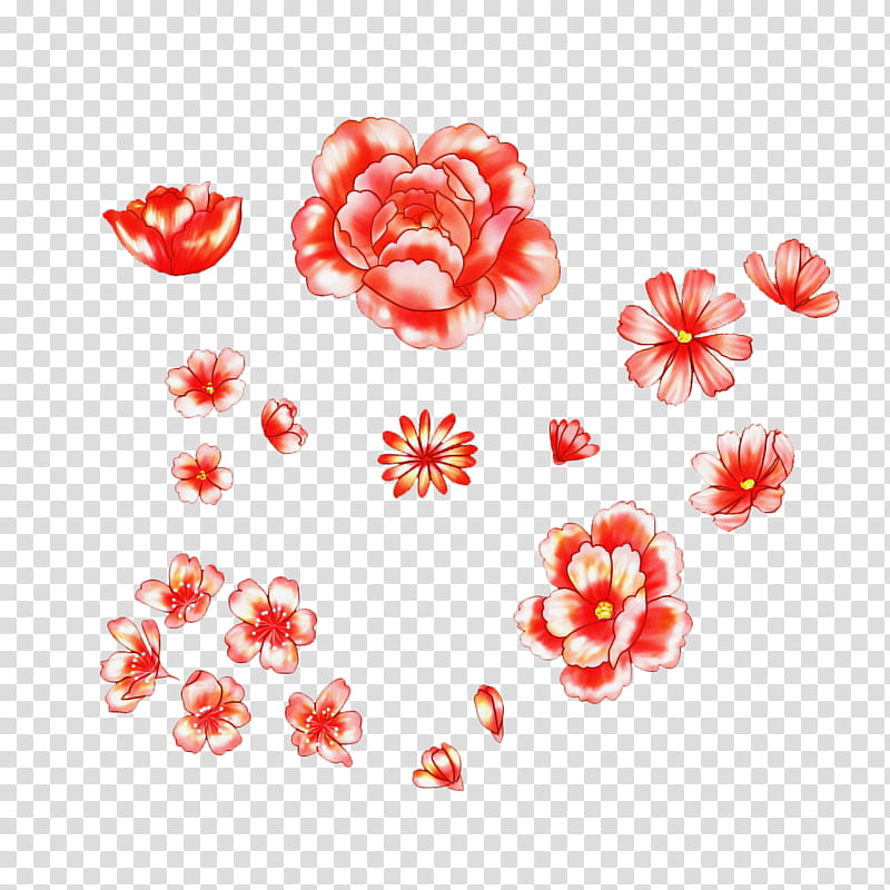 Pink Flower, Petal, Rose, Garden Roses, Peony, Pink Flowers, Floral Design, Floriculture transparent background PNG clipart