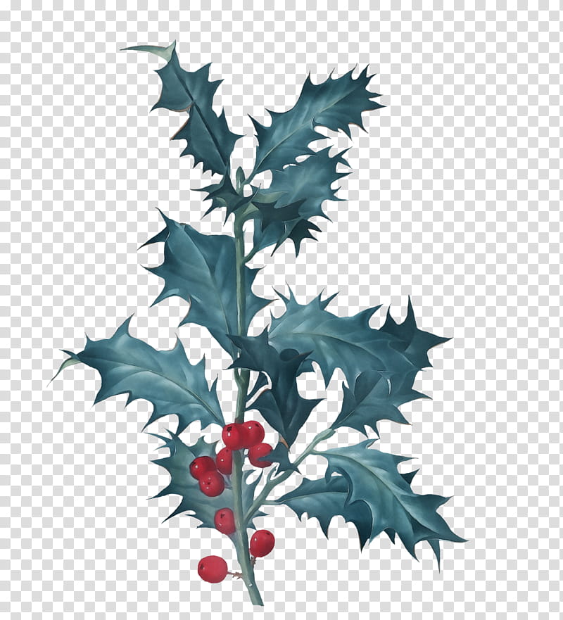 Christmas Day, Watercolor, Paint, Wet Ink, Leaf, Common Holly, Twig, American Holly transparent background PNG clipart