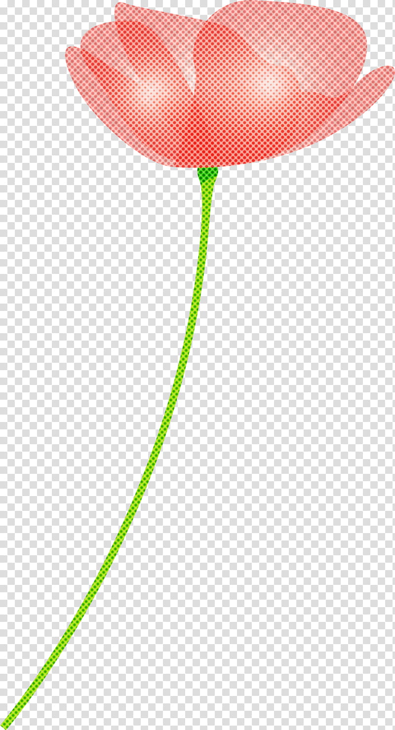 poppy flower, Tulip, Balloon, Plant, Lily Family, Plant Stem, Anthurium transparent background PNG clipart