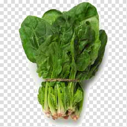 leaf vegetable vegetable chard food spinach, Sorrel, Plant, Tatsoi, Choy Sum, Komatsuna, Arugula, Flower transparent background PNG clipart