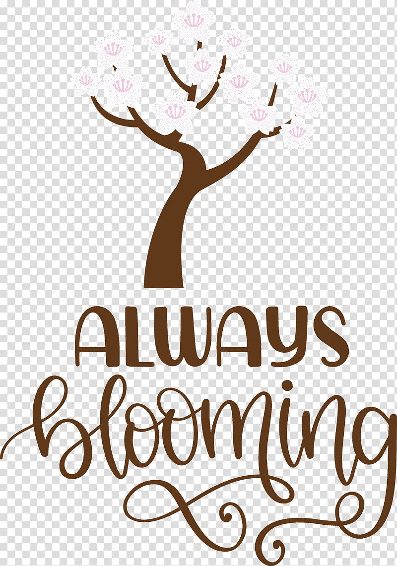 Always Blooming Spring Blooming, Spring
, Logo, Flower, Line, Meter, Mtree transparent background PNG clipart