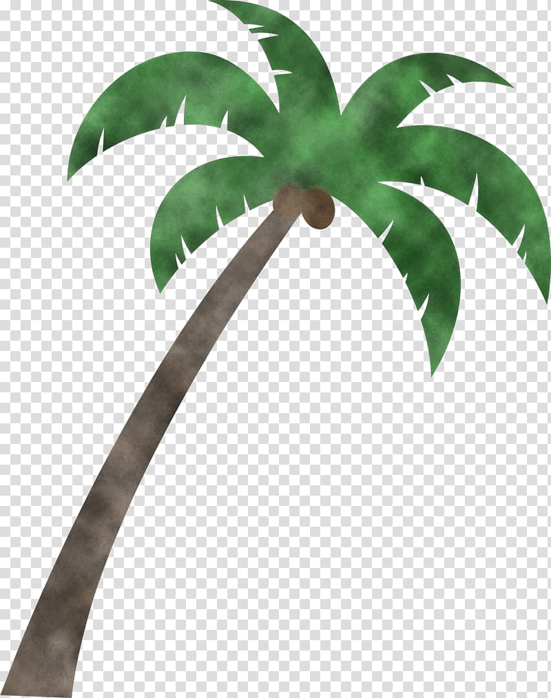 Fruit tree, Palm Tree, Beach, Cartoon Tree, Leaf, Adonidia, Mexican Fan Palm, Veitchia transparent background PNG clipart
