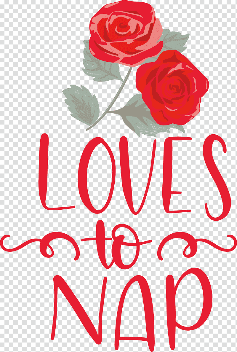 Loves To Nap, Floral Design, Garden Roses, Cut Flowers transparent background PNG clipart