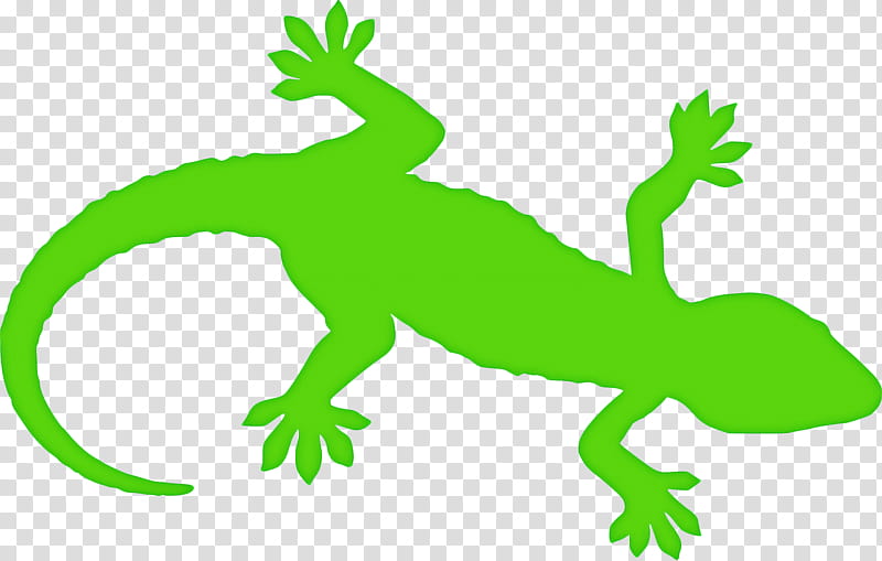 Lizard Green, Reptile, Gecko, Chameleons, Dr Curt Connors, Common Iguanas, Cartoon, Drawing transparent background PNG clipart