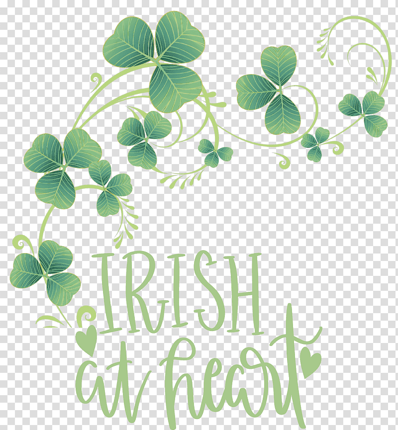 shamrock Irish Saint Patrick, Fourleaf Clover, Luck, Cartoon transparent background PNG clipart