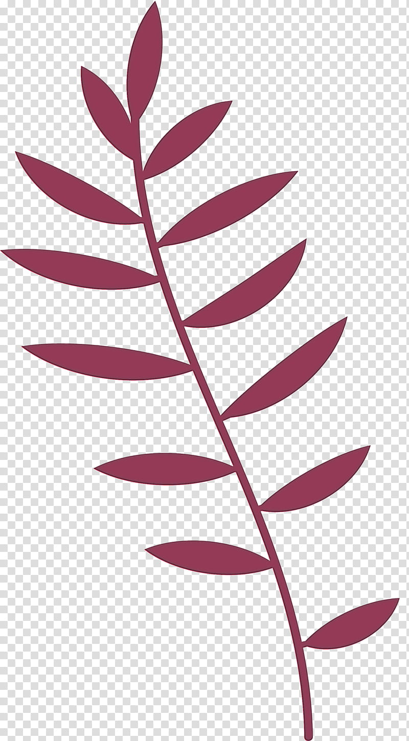 plant stem leaf herbaceous plant flower crane's-bill, Leaf Cartoon, Leaf , Leaf Abstract, Cranesbill, Tree, Petal, Branch transparent background PNG clipart