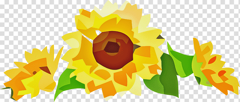Floral design, Common Sunflower, Daisy Family, Sunflower Seed, Border, Sunflowers, Plants transparent background PNG clipart