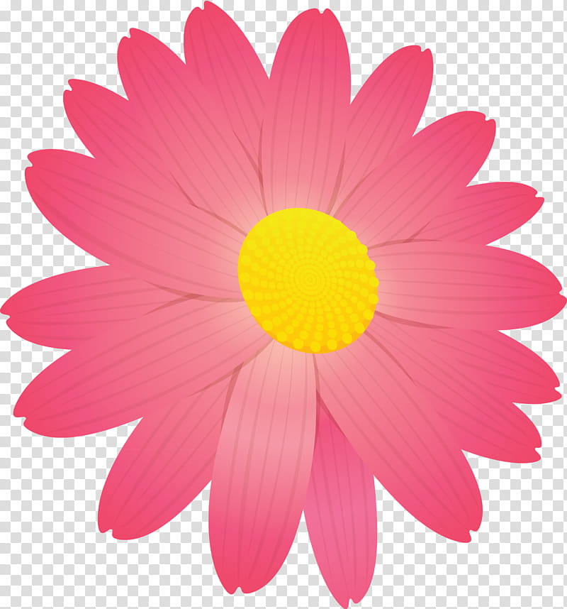 marguerite flower spring flower, Petal, Pink, Gerbera, Daisy, Barberton Daisy, Chamomile, Yellow transparent background PNG clipart