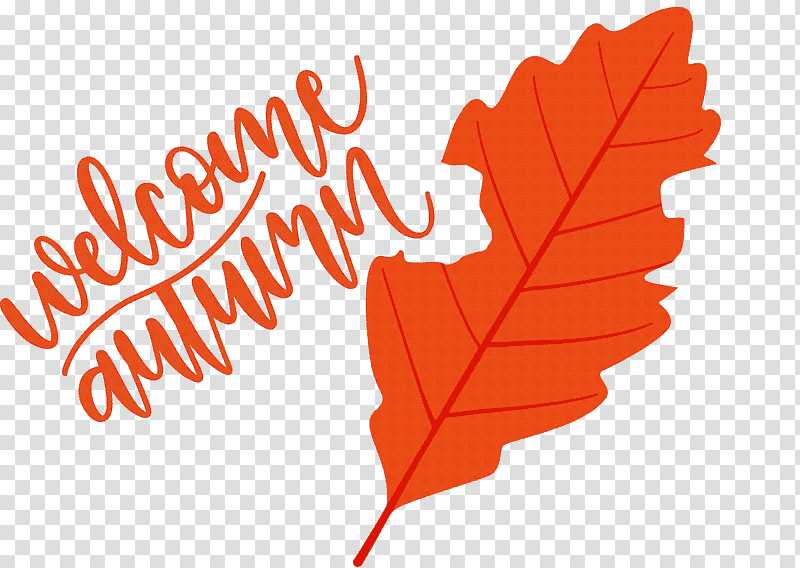 Welcome Autumn Autumn, Leaf, Maple Leaf, Tree, Meter, Flower, Plants transparent background PNG clipart