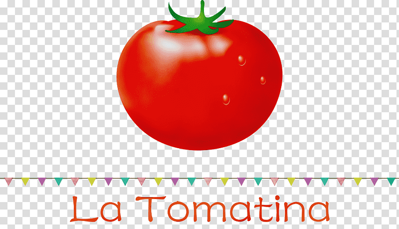 Tomato, La Tomatina, Watercolor, Paint, Wet Ink, Natural Food, Superfood transparent background PNG clipart