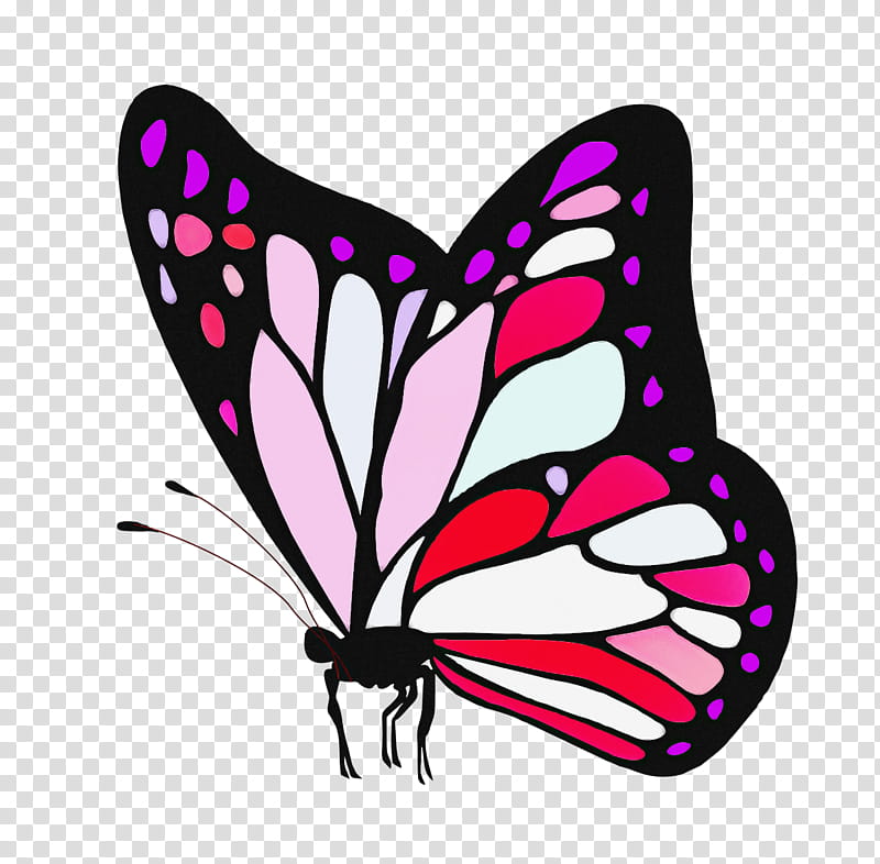 Monarch butterfly, Cynthia Subgenus, Insect, Moths And Butterflies, Pink, Pollinator, Wing, Brushfooted Butterfly transparent background PNG clipart