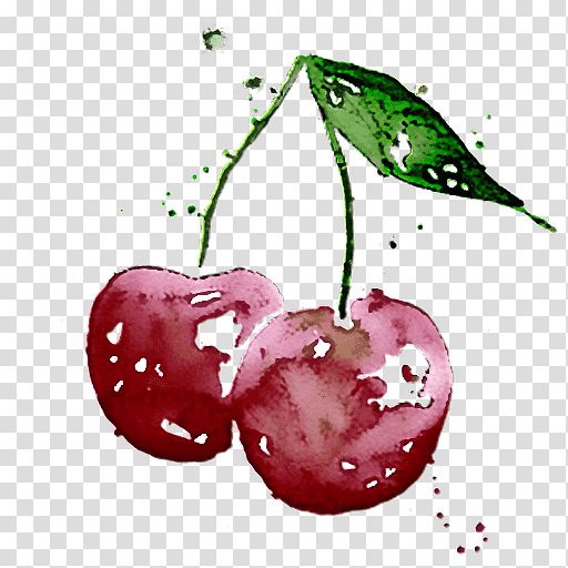 natural food plant apple biology, Science transparent background PNG clipart