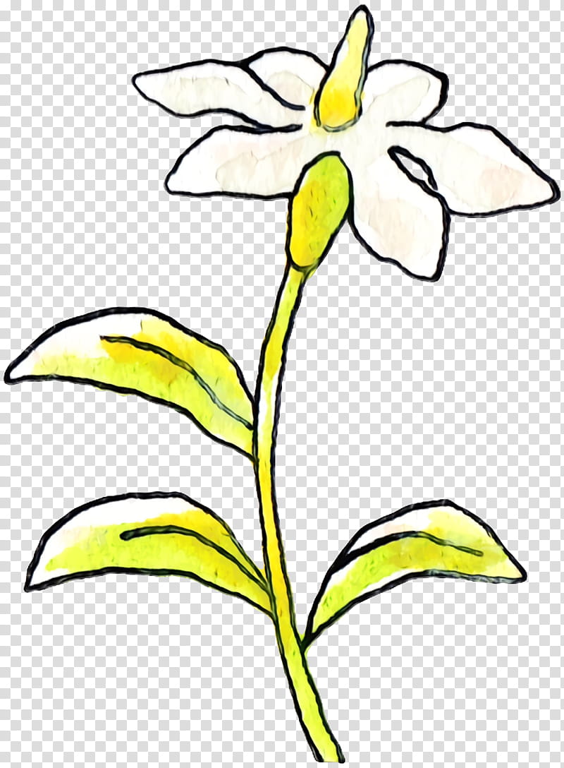 cut flowers plant stem leaf line art petal, Watercolor, Paint, Wet Ink, Yellow, Black White M, Plants, Plant Structure transparent background PNG clipart