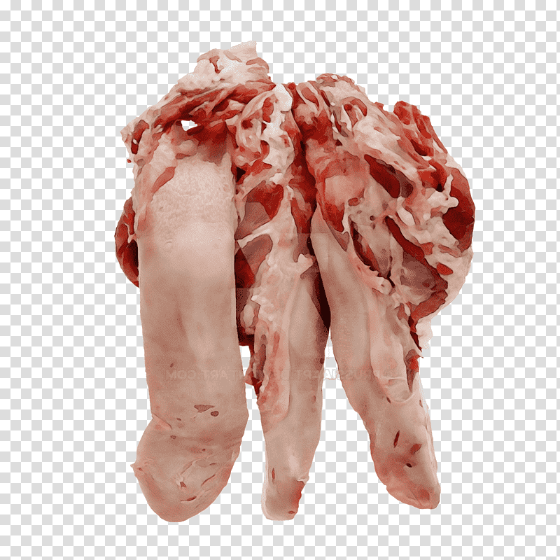red meat back bacon goat meat veal lamb, Watercolor, Paint, Wet Ink, Offal, Boston Butt, Kielbasa transparent background PNG clipart