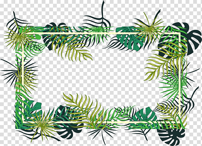fir leaf branch lodgepole pine tree, Evergreen, Douglas Fir, Black Spruce, Plant Stem, Vascular Plant, Eastern White Pine transparent background PNG clipart