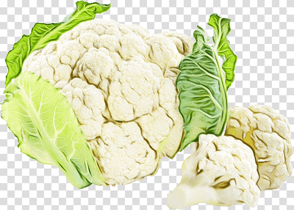 Cauliflower, Watercolor, Paint, Wet Ink, Leaf Vegetable, Collard, Cabbage transparent background PNG clipart