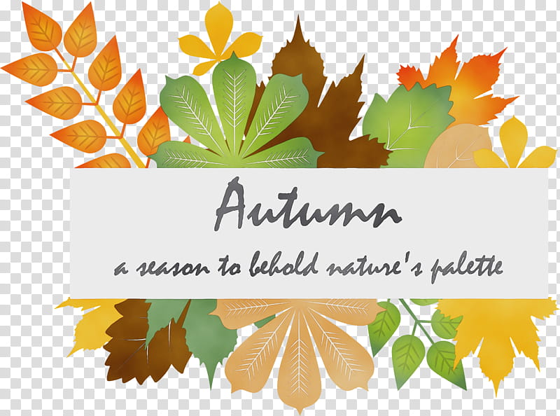 Maple leaf, Hello Autumn, Happy Fall, Autumn Background, Watercolor, Paint, Wet Ink, Poster transparent background PNG clipart