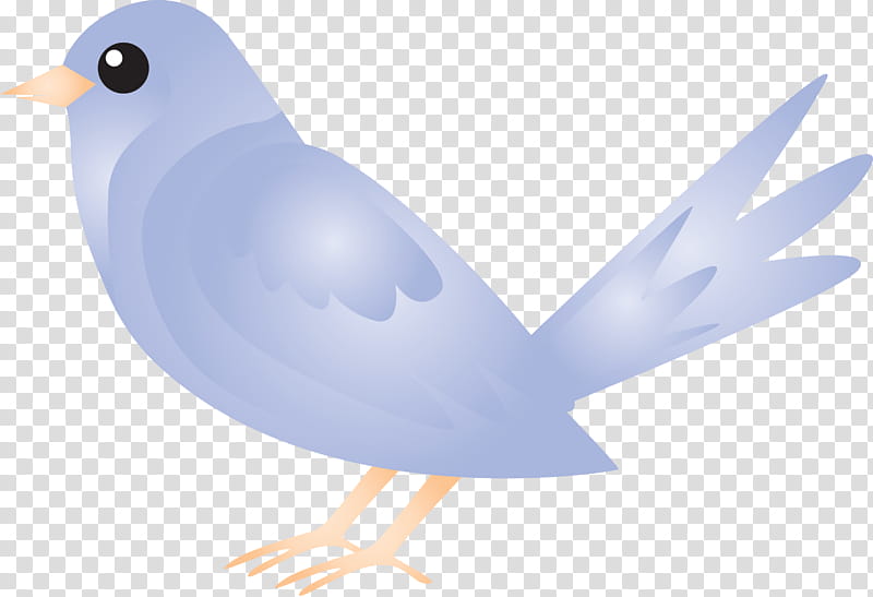 Feather, Watercolor Bird, Beak, Rock Dove, Pigeons And Doves, Wing, Bluebird, Perching Bird transparent background PNG clipart