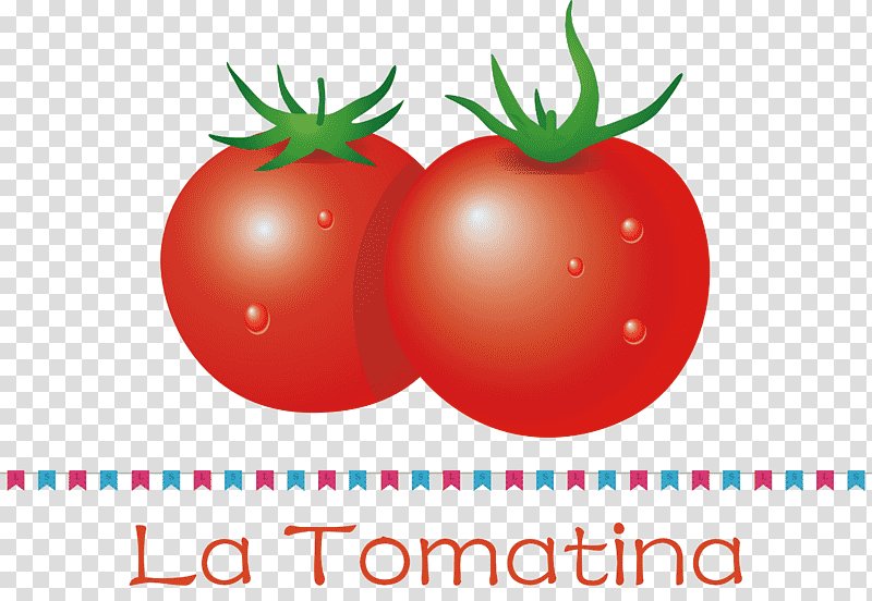 La Tomatina Tomato Throwing Festival, Bush Tomato, Natural Food, Superfood, Local Food, Datterino Tomato, Plant transparent background PNG clipart