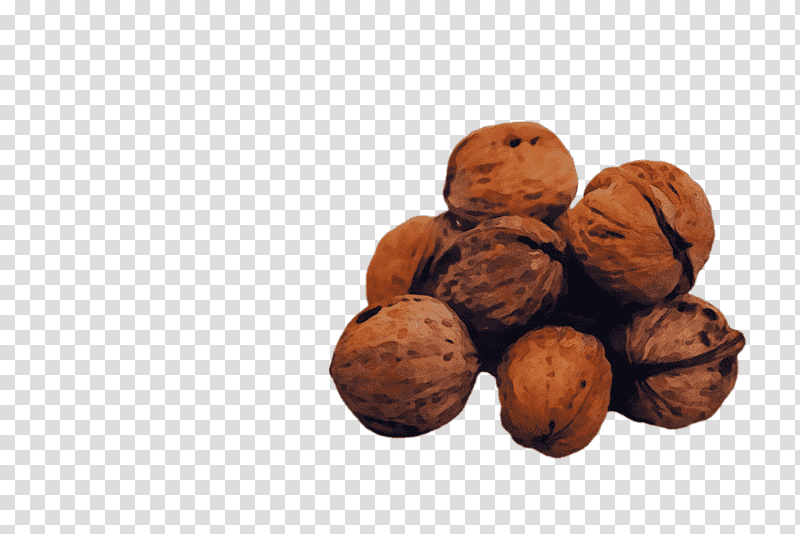 walnut superfood ingredient nut, Watercolor, Paint, Wet Ink transparent background PNG clipart