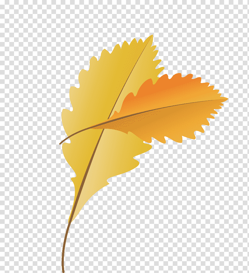 law office of w.f. ''casey'' ebsary jr gear oil pump bmw 5 series, Autumn Leaf, Fall Leaf, Cartoon Leaf, Law Office Of Wf Casey Ebsary Jr, Camshaft, Sprocket transparent background PNG clipart